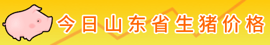 今日山东生猪价格