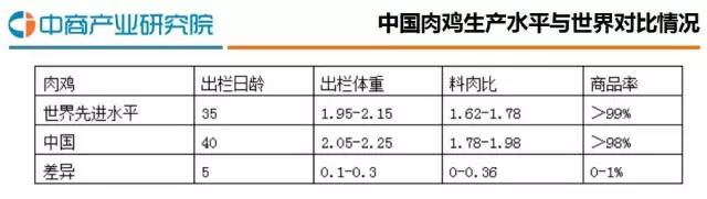 2016年中国肉鸡养殖行业研究分析报告