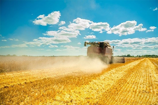 农业部部长韩长赋对国家现代农业示范区建设提出明确要求