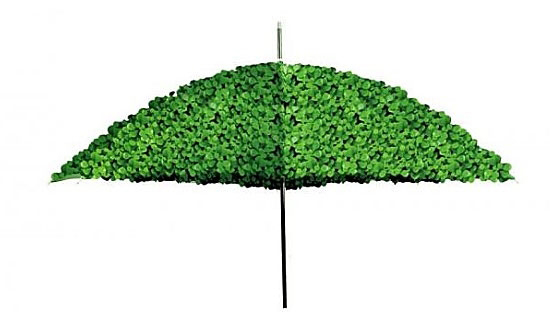 政策性家禽、生猪保险试点工作铺开大部分保费由政府补贴