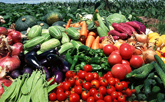 农业部积极推动修订《农产品质量安全法》及配套法规