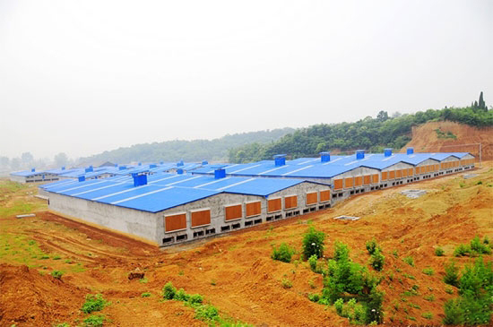 办个养猪场要走的流程？用地申请书怎么写？