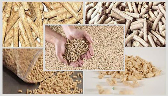 用颗粒KY.COM喂猪简便还可避免猪择食