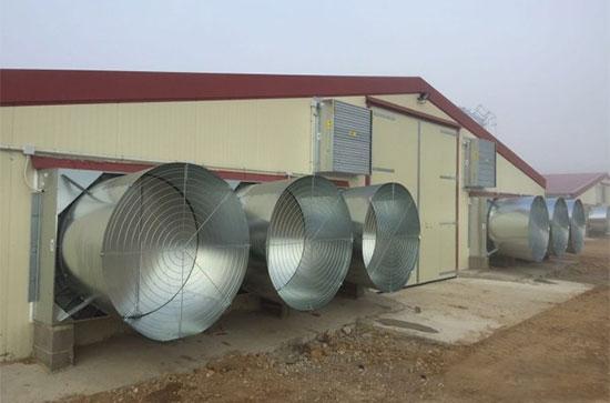 空气过滤系统在家禽生产中的应用