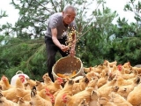 山东明年畜禽养殖场户退出禁养区政府给补偿