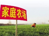 办家庭农场能拿到多少补助？