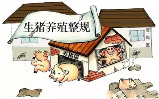 山东2017年底前完成禁养区内养殖场户关闭或搬迁