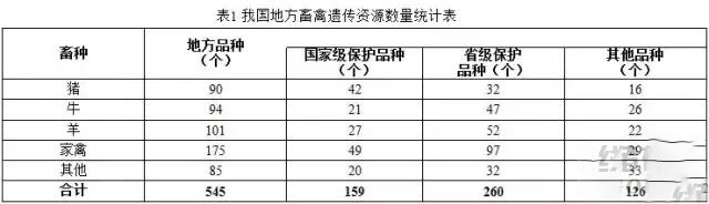 “十三五”规划中重点保护的那些生猪品种