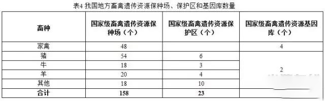 “十三五”规划中重点保护的那些生猪品种