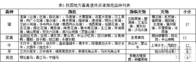 “十三五”规划中重点保护的那些生猪品种