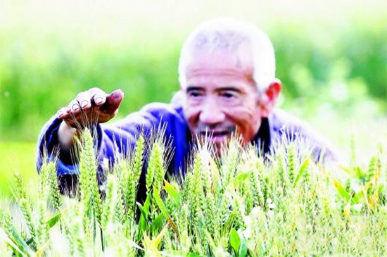 2017年政策将扶持哪些农业项目？