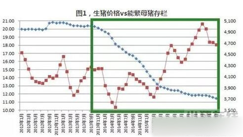 禁养政策和新建项目的跑步竞赛