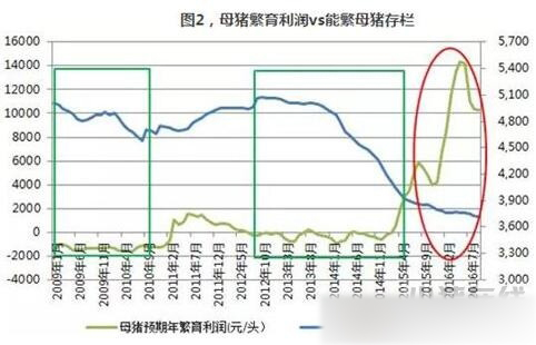 禁养政策和新建项目的跑步竞赛