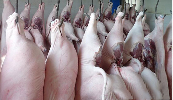 旺季还未到来 生猪上涨的势头要大于猪肉