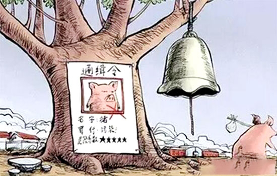禁养风暴，临近年底，你的猪场可安好？