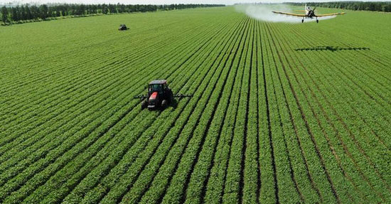 明年我国农业结构调整将重点抓好5件事