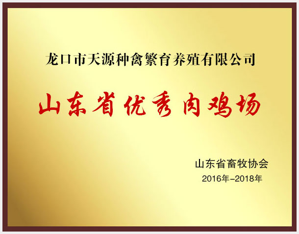 天源KY.COM荣誉资质