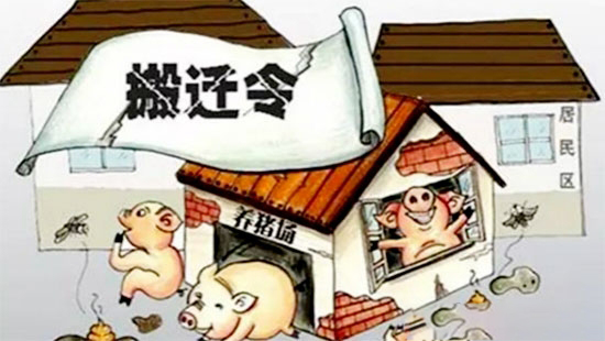 “禁养令”频频落地小散们如何应对?