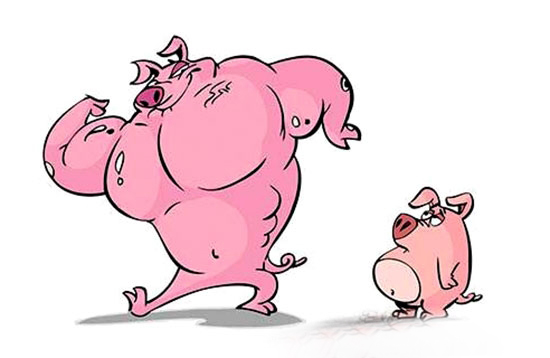 韩长赋：继续严打“瘦肉精”发现一起打击一起