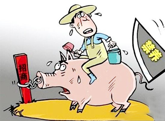 非禁养区250头内小猪场也要被拆，2017年后再无散养户？