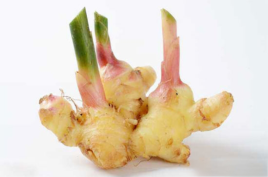 养猪巧用生姜催肥止泻消积食