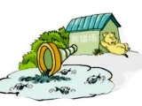 环保部长发话：17年养猪业清拆整治行动将越发严格
