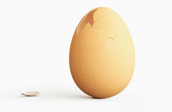 破损蛋的产生原因与应对措施
