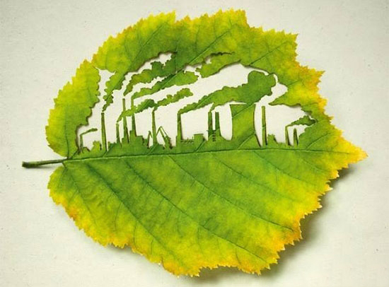 今年是环保整治的最后期限