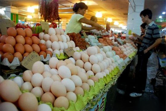 山东蛋价跌破成本线再创近年新低