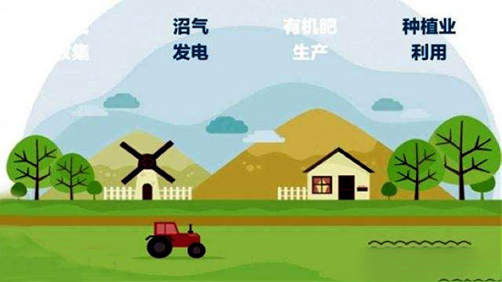 山东计划2020完成全省畜牧业转型升级