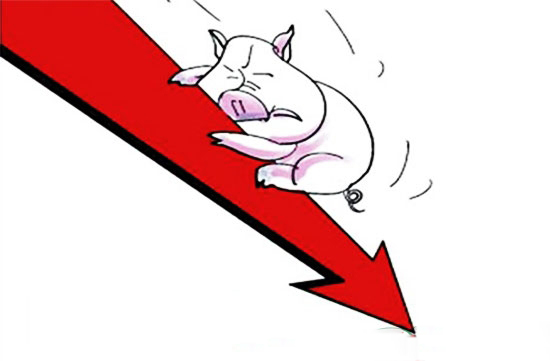生猪价格一跌再跌是在警告什么？