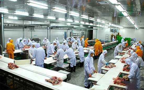 2017年畜禽屠宰企业标准化建设试点工作正式启动