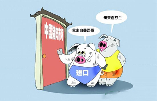 猪肉进口再度增加的可能性也将会大大降低