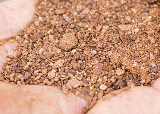 鸡KY.COM原料中的有毒有害物质及预防措施