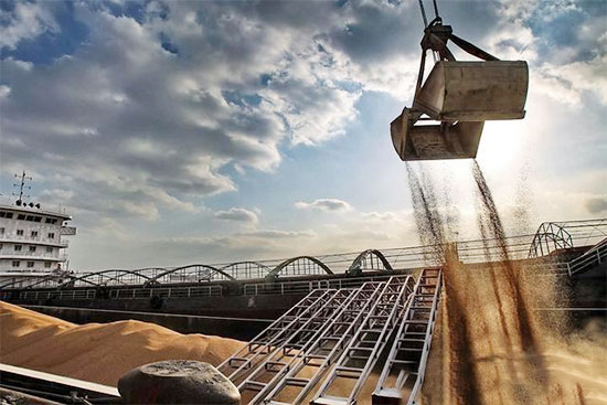 玉米贸易商应警惕市场变化