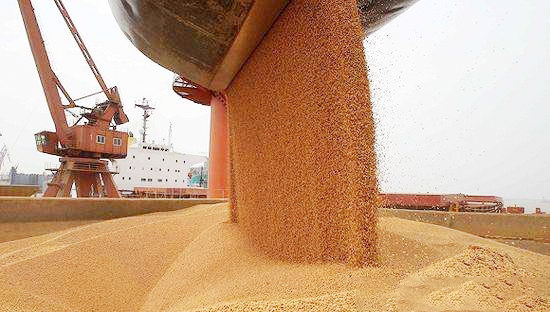 中国进口的美国大豆船货拖延 飓风令质量受损