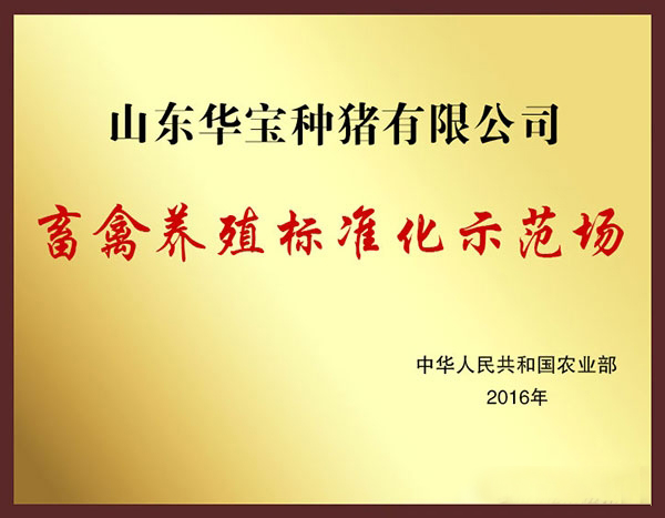天源KY.COM荣誉资质