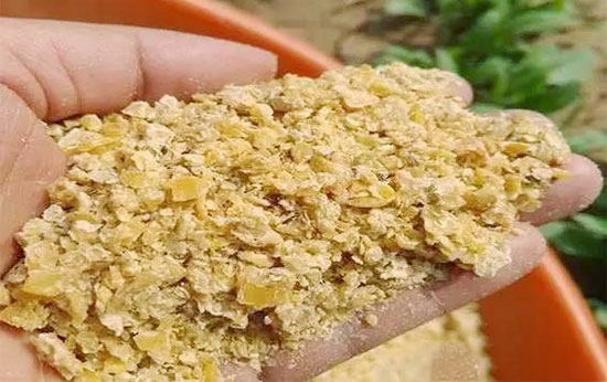 出现区域性供应紧张 豆粕价格重心有望逐步上移