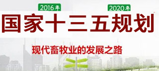 “十三五”农业部将着力提升我国畜禽种业水平