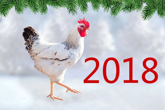 2018养鸡行业大环境面临哪些变数？