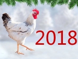 2018养鸡行业大环境面临哪些变数？