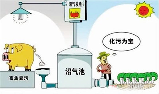 解读农业部关于粪污处理新通知 让农村畜牧业环保不再迷茫