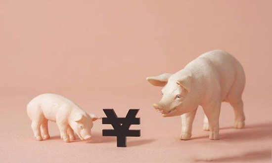 “猪周期”现数据背离 规模化经营难移周期本质