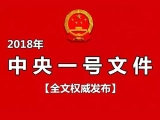 看中央一号文件的权威解读 畜牧养殖的机遇在哪？