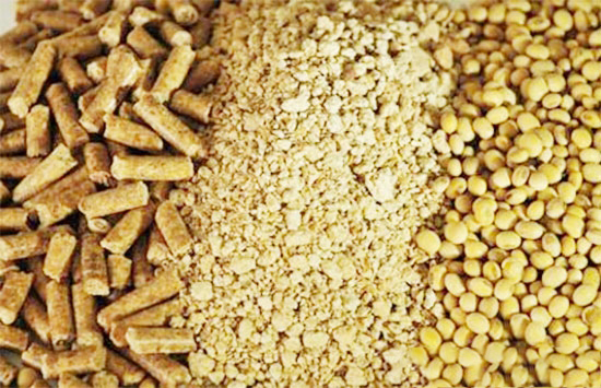 不确定因素多 短期豆粕易涨难跌