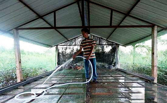 空鸡舍的冲洗管理