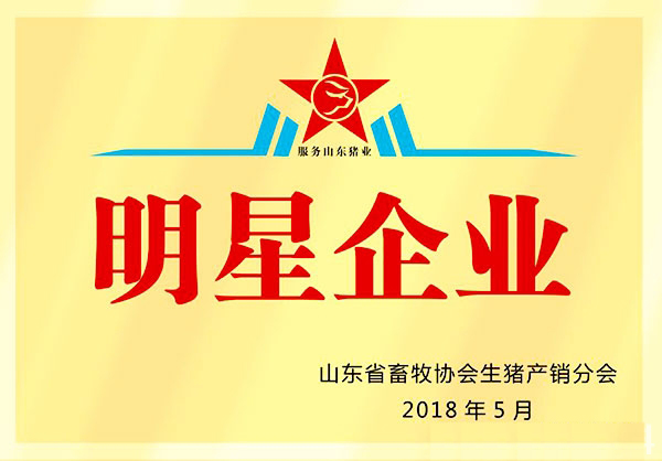 明星企业