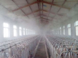 养猪场规范消毒和疫病发生时紧急消毒的不同处
