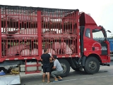 农业农村部发话了：下月起生猪不能想运就运了！