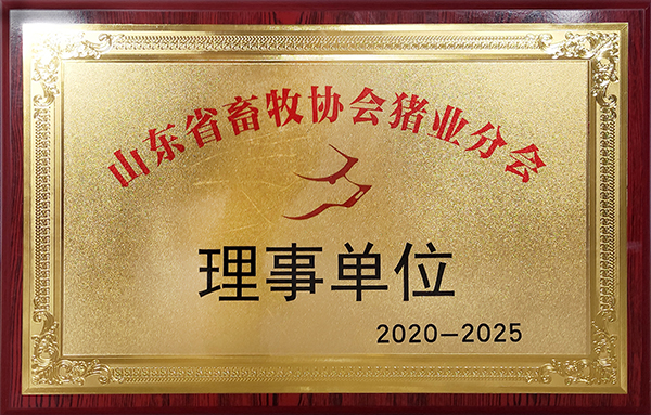 天源KY.COM山东省理事单位2020-2025